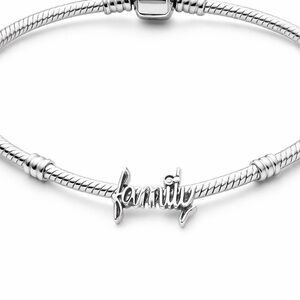 New Family Charm for Bracelet - S925